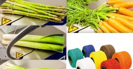 Cordón elástico Cíclico para hormigueo de cebolla con cebolletas