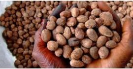 Actualmente estamos en la cima de nuestra cosecha de