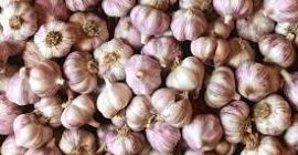 Actualmente estamos en la cima de nuestra cosecha de