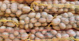 Hola, papas Colombo calibre 5-10, cosido 15kg en paletas.