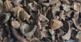 Actualmente estamos en la cima de nuestra cosecha de