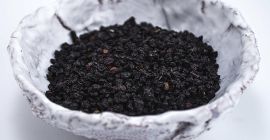 Las bayas de color azul-púrpura oscuro del árbol de