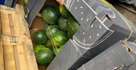 Hola, vendo sandías, país de origen Hungría