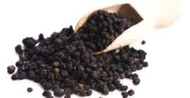 Las bayas de color azul-púrpura oscuro del árbol de