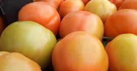 nos complace ofrecer tomates frescos (cereza, ciruela, cereza) empacados