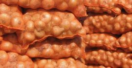 Cebolla fresca Tamaño 5-7 cm, 7-9 cm, etc. Origen