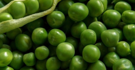 Guisantes de la cosecha de 2019. CANTIDAD: 3,000 TONELADAS