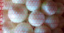 Hola, la compañía TawTrade con muchos años de experiencia