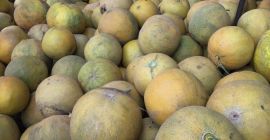 Tenemos a la venta melones amarillos importados por Rumania.