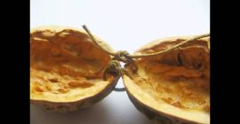 Compraré SOLO nueces, avellanas y derivados. Shell en cualquier