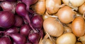 Venderé cebollas de calibre 40/60, 60/80, también en paquetes