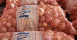 Onion Quality recibe más información de nuestra parte o