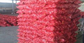 Cebollas frescas amarillas y rojas todavía disponibles Cebollas en