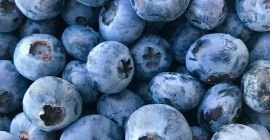 Venderé arándanos alrededor de 1 tonelada Embalado 3 kg