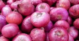 Tipo: Cebolla Tipo de producto: Vegetales liliáceos Estilo: Fresco