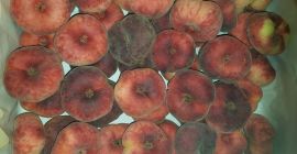 Venderé durazno paraguayo, importado, fresco, bonito, jugoso.