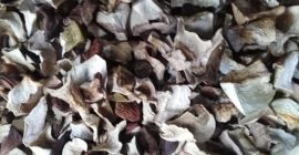 Venderé hongos porcini secos. Precio por kg PLN 20.