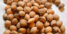 Estoy buscando semillas de cereza limpias para botellas de