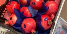 Hola, tengo a la venta granadas cantidades de camiones