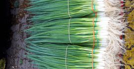 Venderé desfile de cebollino. Grandes cantidades posibles