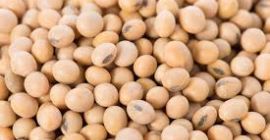 Información nutricional Calorías: 173. Información nutricional Calorías: 173. Agua: 63% Proteína: 16.6 gramos.