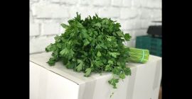 Aceptamos pedidos contractuales de hierbas (eneldo, perejil, cilantro, menta)