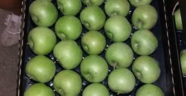 - Manzana calibre dorado 70+ embalaje cartón dos filas