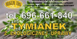 Cultivo orgánico de tomillo certificado. Se puede enviar por