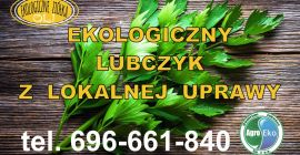 Cultivo ecológico certificado de apio de monte. Posibilidad de