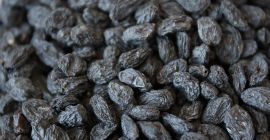 PASAS Negras (Sayaki)