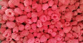 ¡Ofrecemos productos congelados! Bayas congeladas disponibles: frambuesas, moras, fresas,