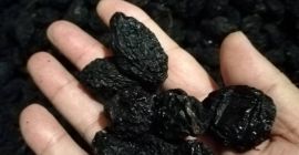 Ciruelas pasas con Serbia sin hueso y sin hueso