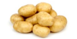 Compre papas frescas de Holland WhatsApp + 380-509-856-820 para