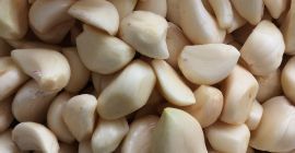 Vendo WhatsApp de ajo blanco + 380-509-856-820 para más