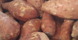 Venderé batatas (batatas), para la industria, importación desde España.
