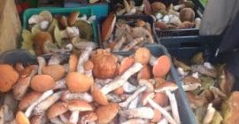 Venderé botas rojas / marrones. El envío es posible.