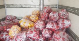 Hola, venderé tomates rojos y verdes si tienes preguntas,