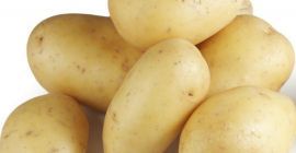 Compre patatas frescas holandesas WhatsApp + 380-509-856-820 para obtener