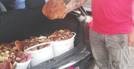 Venderé setas boletus a pedido.