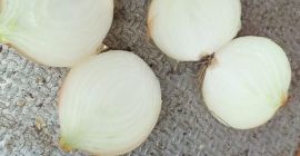Hola, tengo que ofrecer cebollas blancas en cáscara, calibre
