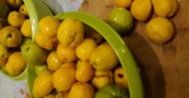 Hola, tengo que vender membrillo japonés, unos 80 kilogramos.