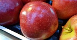 Tenemos manzanas disponibles de Polonia a buen precio. Visite