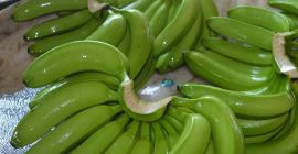 Hola, tenemos bananas de excelente calidad disponibles. Contáctenos directamente