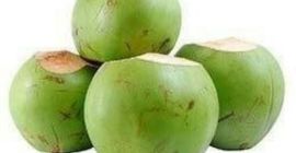 Coco entero joven y fresco de la UE disponible,
