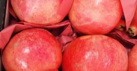 variedad: - Embalaje maravilloso: - caja de cartón de