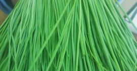 Hola, somos productores de hortalizas y hierbas. En Tanzania,