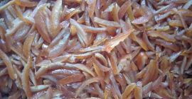 Venderé cáscara de naranja dulce. Grandes cantidades, bajo precio.