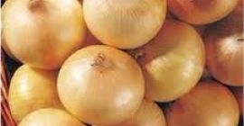 cebollas rojas y amarillas frescas 2019 para la venta