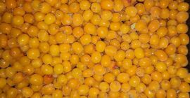 Ofrecemos bayas de espino amarillo congeladas de alta calidad.