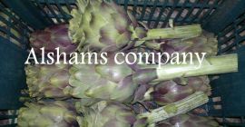 - Alcachofa Fresca : - Alcachofa verde fresca -